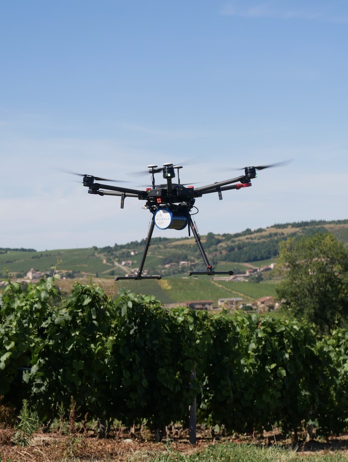 MS350 measuring a vineyard in Burgundy.jpeg